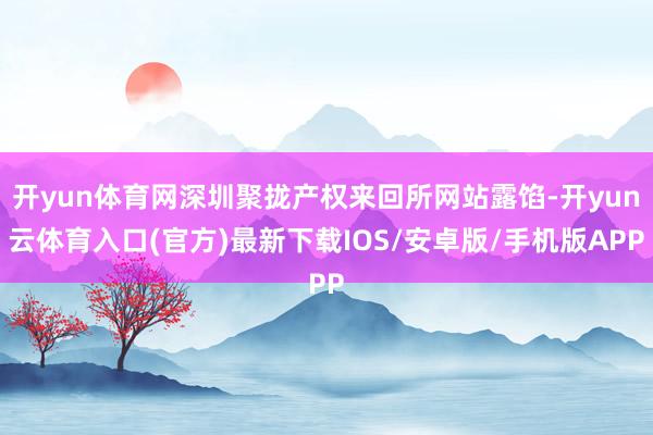开yun体育网深圳聚拢产权来回所网站露馅-开yun云体育入口(官方)最新下载IOS/安卓版/手机版APP