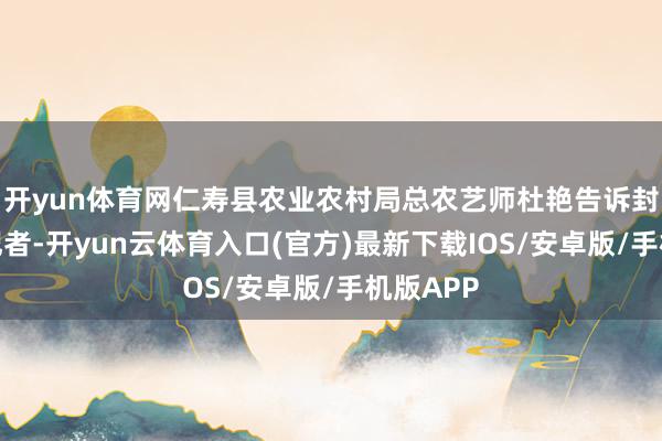 开yun体育网仁寿县农业农村局总农艺师杜艳告诉封面新闻记者-开yun云体育入口(官方)最新下载IOS/安卓版/手机版APP