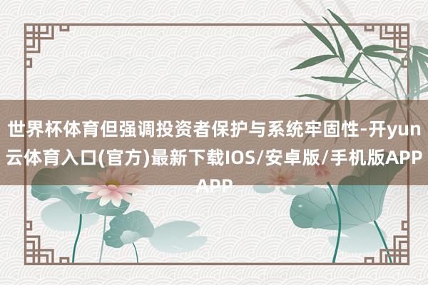 世界杯体育但强调投资者保护与系统牢固性-开yun云体育入口(官方)最新下载IOS/安卓版/手机版APP