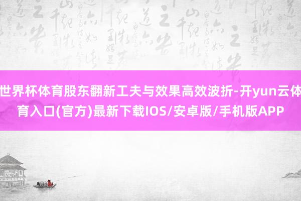 世界杯体育股东翻新工夫与效果高效波折-开yun云体育入口(官方)最新下载IOS/安卓版/手机版APP